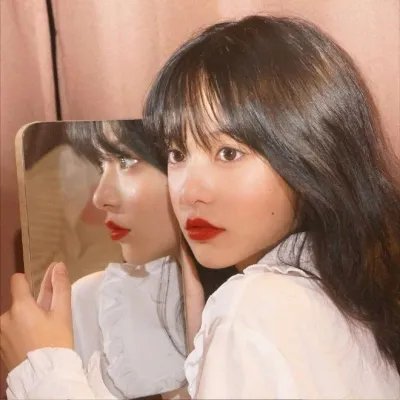 永不退缩:反抗