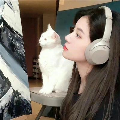 一条叫王子的狗